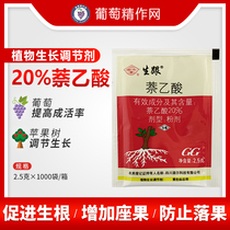 Guoguang Sheng and Rooting Powder 20% Naphthalene Acetic Acid Polygonum Seedlings Plant Flower Cuttings Rooting Agent