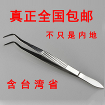 Double curved tip non-toothed tweezers stainless steel thickened dental dental dental examination care clip tool