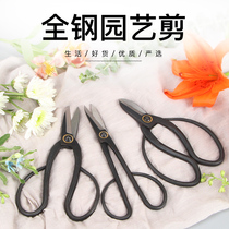 Flower scissors Household floral flower arrangement special Japanese pruning flower branches Gardening bonsai scissors Twig cut scissors