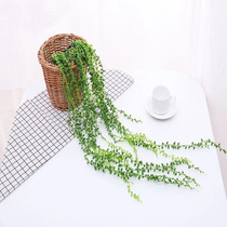 Kindergarten wall decoration simulation Flower Vine green plant living room plant plastic Vine vines fleshy lover tears fake flower