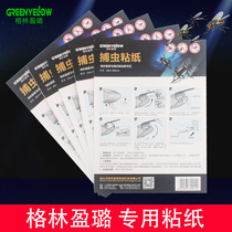 Green Light Sticky Fly Paper Sticky Trap of Insect Paper Mosquito fly lamp sticky fly paper GW001 GW003 5 sheets