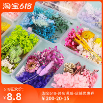 DIY Dry Flower Mix Handmade Flower Production Yonnais Material Bag Real Flowers Natural Air Drying Ins Decorative Group Fan Pendulum Pieces