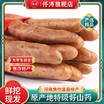 Huitao carefully selected Wenxian black soil iron stick yam fresh 5 kg Henan Jiaozuo specialty hardcore Huai Shan Huai Yam