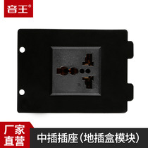 soundking I31 power module plug-in plug-in module