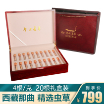 De Xing Tang Tibetan Naqu Cordyceps Sinensis 20 Crystal Tubes Gift Box