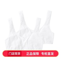 Barabara girls bra cotton ammonia Two 2021 fall New pint one stage white chest clothes anti-light 100 lap