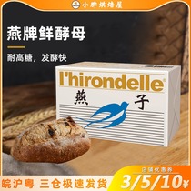Swallow fresh yeast 500g high sugar resistant small pieces of active fresh filial powder home baking commercial steamed bread bread Special