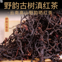 Wild rhyme Lan fragrant ancient tree Yunnan black tea spring tea 2022 Tree age Long mountain wild gas rhyme tea Water sweetness 500 gr