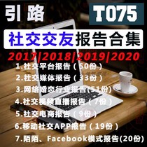 2019 China online marriage and mobile e-commerce APP industry industry report strangeness Facebook