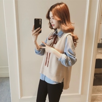 2022 Spring and autumn new ladies trendy fashion design sensation small crowdwear vest knit waistcoat for autumn and winter horse