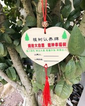 Tree adoption brand tree claim brand tree planting commemorative brand tree planting commemorative brand tree planting day tree card