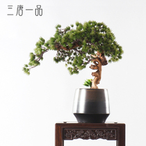 New Chinese simulation welcome pine bonsai Poisson potted new porch soft handicraft lobby model room decoration