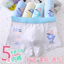 Boys underwear boxer childrens cotton male middle-aged children 10-11-12-15 years old childrens cotton shorts 8