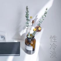 ins Nordic Vase ornaments cold wind home living room table dry flower transparent glass container decorative vase