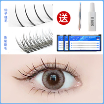Net red fairy false eyelashes womens single cluster fish tail false eyelashes fairy hair under the eyelash mixed with segmented hair