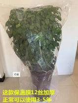 Landscape anti-wind garden overwintering gardening protective film sleeve film antifreeze plastic cloth insulation bag bagging plant plant