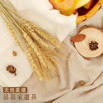 Taobao food Food food baking Photography posing Shooting Photo props Flower decoration ornaments Jewelry Dried flowers