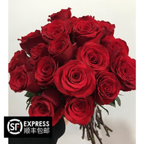 (Gesang) Red Roses Big Red Crimson Roses Wedding Valentines Day Roses bride 18 tie empty