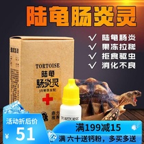 Climbing tortoise enteritis Spirit effectively treats anti-enteritis kills protozoa stops diarrhea refuses to eat pulls jelly leopard tortoise red legs fainting