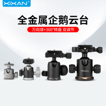 Core fresh PF23 metal camera tripod head phone tripod micro single counter photography accessories panoramic damping tripod head universal 360-degree rotating fast loading plate aluminium alloy spherical fixed base triangular bracket