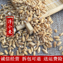 Floating wheat 50 grams of wheat wheat wheat kernel rice floating wheat rice fresh dry goods without sulfur