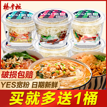 Shopkeeper Yang YES wide powder hot and sour powder barreled hot and sour sweet potato vermicelli spicy powder convenient fast food rattan pepper fish whole box