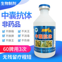 Cystic antibodies Bee drugs cysts cysts larvae sickness rotten sickness rotten disease rotten sickness rotten 500ml