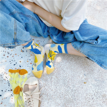 LET ME SEE autumn and winter thin tube retro Korean socks female ins tide cute Japanese niche short socks summer