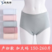  Maternity underwear pure cotton pregnant women extra large size womens short 200 kg 300 mid-waist breathable loose postpartum confinement fat mm