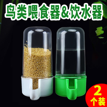 Bird with water drinker parrot feeder pigeon supplies utensil food trough feeding waterfowl with octoforts octoforts Bird Food Jar