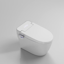 TOTGG Lanyuexing X Germany smart toilet one-piece automatic clamshell no pressure limit electric toilet