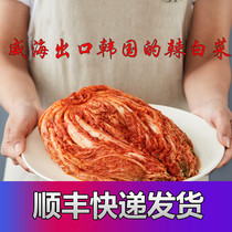 Korean spicy cabbage Kimchi Kimchi Authentic spicy cabbage pickles under meals pickles spicy North Korea 5 pounds