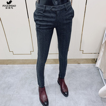 Rich and bird Western pants for mens spring and autumn business Maos Korean version trendy mens casual pants minor leggings pants Western suit pants