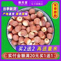 Large Zhaoqing Gorgon dry chicken head rice Zhaoqing Zishi new goods owe dry goods Gorgon buy-1-get-1 total 500g