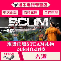 PC genuine Steam game SCUM Scum Open world survival game Multiplayer online game Finished account gift delivery