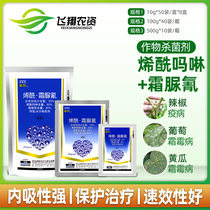 Nopsin Jingma 70% Dienoyl Morphorine Frost Mildew Pesticide Fungicide 10-100g