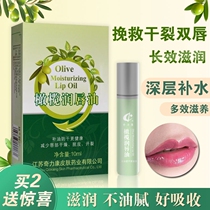 Olive lip oil Long-lasting moisturizing moisturizing mens and womens lipstick hydration Go beads Qilikang