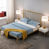 Nordic iron bed net red princess children Girl iron bed ins simple modern Hong Kong style light luxury master bedroom double bed