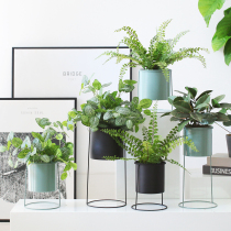  Sicily simulation green plant potted wrought iron flower pot Nordic creative desktop decoration plant home office decoration