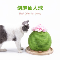 New cactus cat catch ball grinding talkeware Tooth Sword Leash Rope Cat Grabbing Ball Teasing Cat Toy Cat Mint Cat Supplies