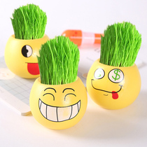 Creative indoor small potted green plant Office mini potted primary school prizes kindergarten gifts stalls