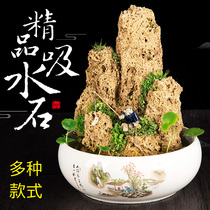 Water-absorbing stone stone strange stone original stone rockery bonsai micro landscape small stone fish tank small decorative ornaments accessories