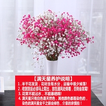 Family flower white blue star dry flower bouquet with vase living room restaurant bedroom decoration