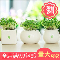zakka Flower Vase(small bud pot) Plant Cactus heart-shaped grass Mini Creative fleshy ceramic flower pot