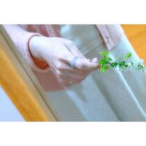 Jiangnan Smoke Rain Natural Emerald Old Pit Material Ice Floating Orchid Emerald Ring Safe To Fasten A Set Of Entry