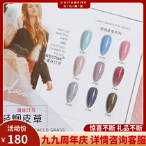 In 2019 the new popular color Net red style Wristink light tobacco fur velvet nail polish nail shop dedicated