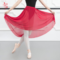 Dancers song Modern Dance Elastic Mesh Yarn Skirt Half Body Dress Classical Dance Dresses Adult Art Kao Dance Practice Dresses