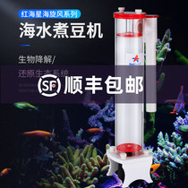 Red Starfish Bean Machine Phosphate Adsorption MINI-50 70 80 100 150 Bean Machine Bean Machine