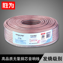 Win For Sound Line Home Theater Power Amplifier Professional Sound Wire Rod Oxygen-free Copper Connection Line High Fidelity Audio Line