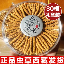 Cordyceps Flagship store Cordyceps Dry goods 3 1g Cordyceps gift gift 10g gift box